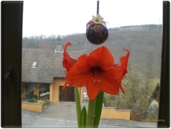 fotografie-1