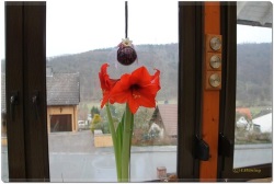 fotografie-4