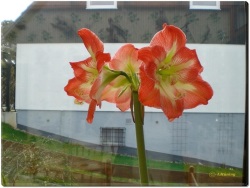 fotografie-9