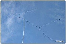 fotografie-21