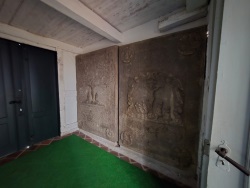 fotografie-10