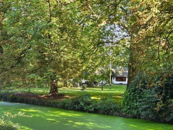 fotografie-1