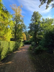 fotografie-8