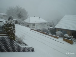 fotografie-4