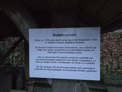 fotografie-13