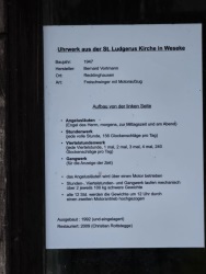 fotografie-14
