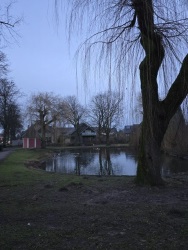 fotografie-27