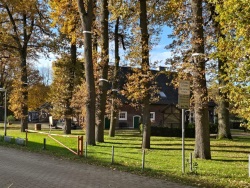 fotografie-9