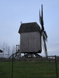 fotografie-5