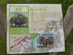 fotografie-3