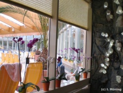 fotografie-5