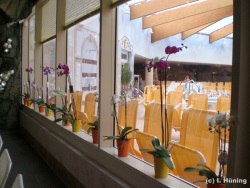 fotografie-6