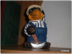 fotografie-7