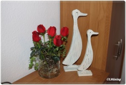 fotografie-38