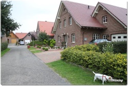 fotografie-47