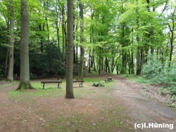 fotografie-15