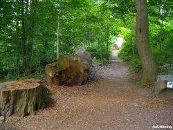 fotografie-4