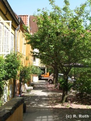 fotografie-51