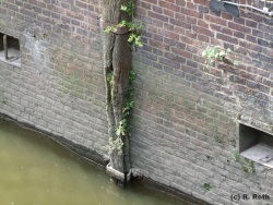 fotografie-46