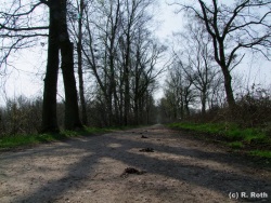 fotografie-25