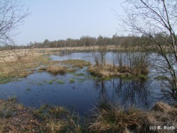 fotografie-64