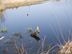 fotografie-73