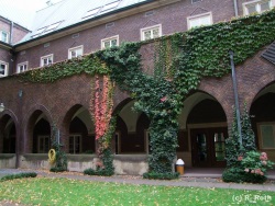 fotografie-60