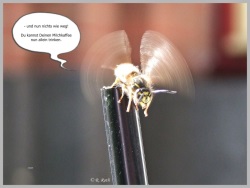 fotografie-9