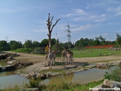 fotografie-67