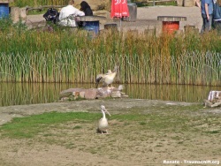 fotografie-14