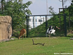 fotografie-4