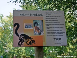 fotografie-35