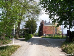 fotografie-8
