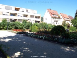fotografie-14