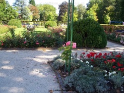 fotografie-17