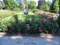 fotografie-23