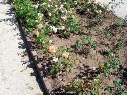 fotografie-43