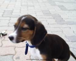 fotografie-36