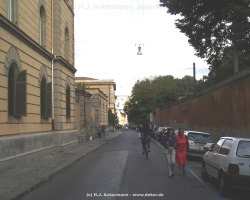 fotografie-16