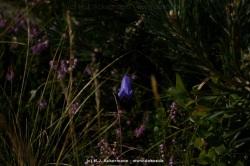fotografie-47