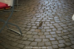 fotografie-188