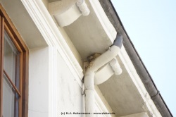 fotografie-155