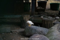 fotografie-8