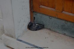 fotografie-28