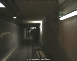 fotografie-5
