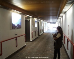 fotografie-35