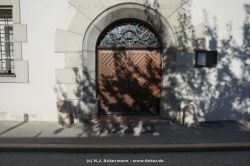 fotografie-18