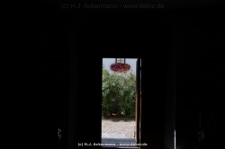 fotografie-197