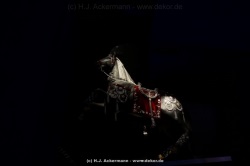 fotografie-152