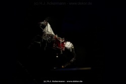 fotografie-101